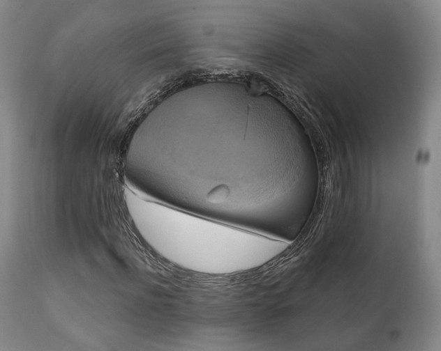 X0000111220916200907021331