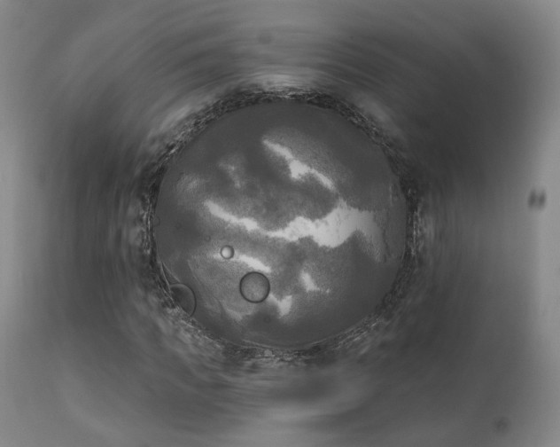 X0000111220917200907021331