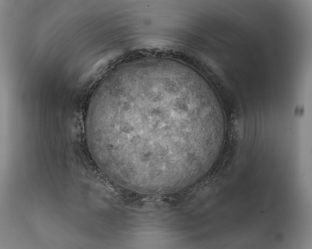 X0000111220918200907021331