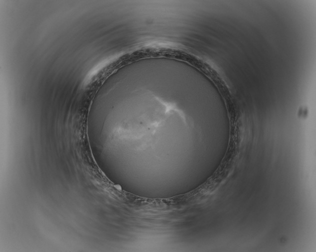 X0000111220919200907021331
