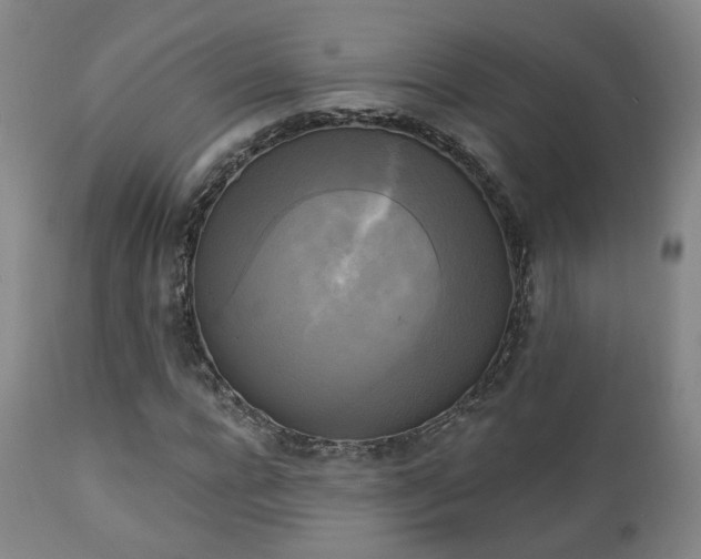 X0000111220920200907021331