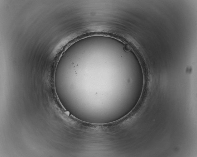X0000111220922200907021331