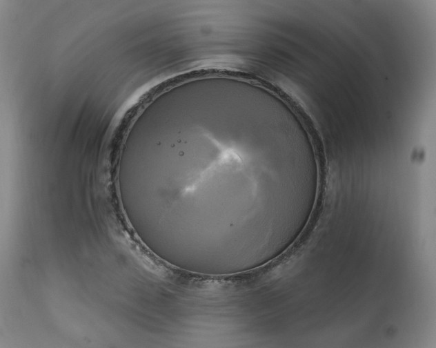 X0000111220923200907021331