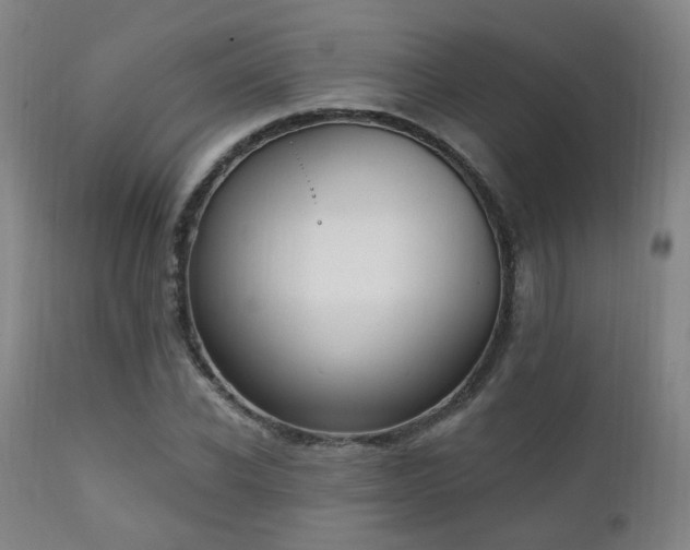 X0000111220926200907021331