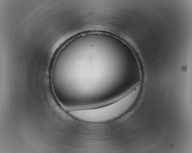 X0000111220928200907021331