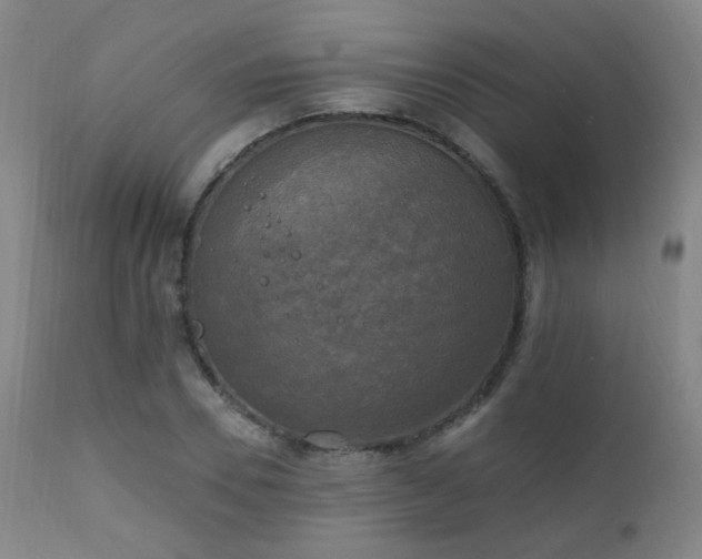 X0000111220930200907021331