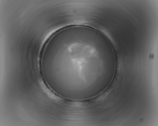 X0000111220932200907021331