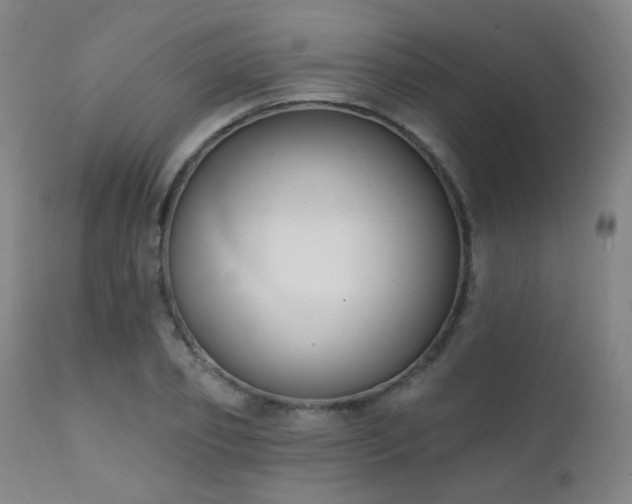 X0000111220933200907021331