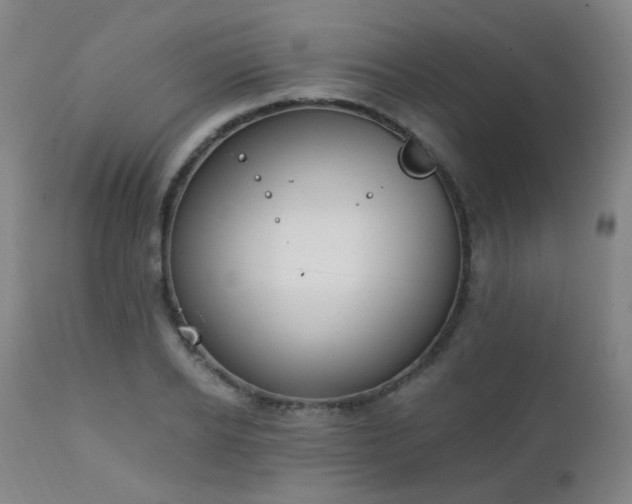 X0000111220934200907021331