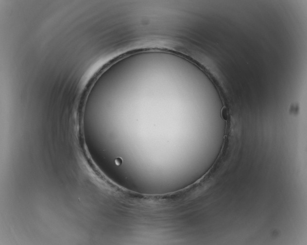 X0000111220936200907021331