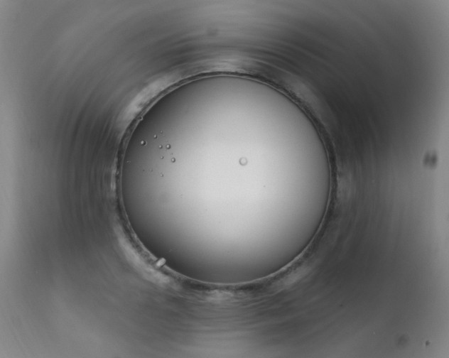 X0000111220938200907021331