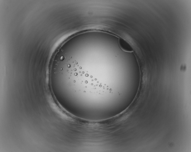 X0000111220940200907021331