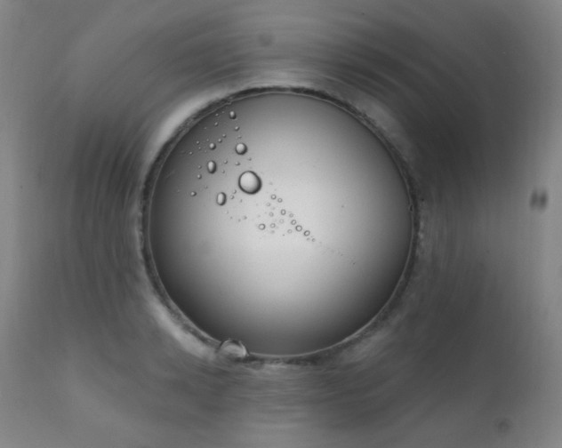 X0000111220942200907021331