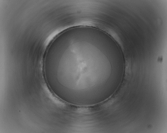 X0000111220944200907021331