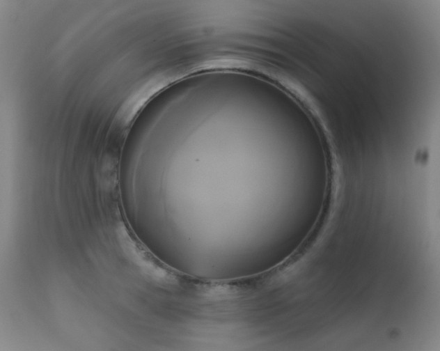 X0000111220945200907021331