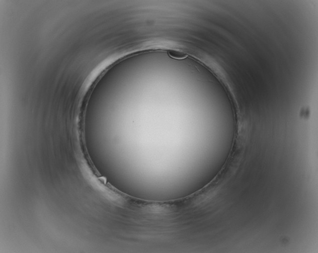 X0000111220947200907021331