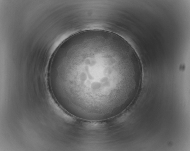 X0000111220949200907021331