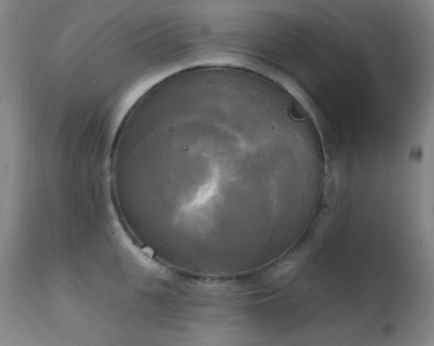X0000111220951200907021331