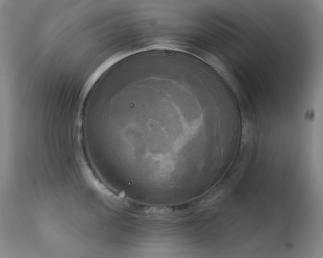 X0000111220955200907021331