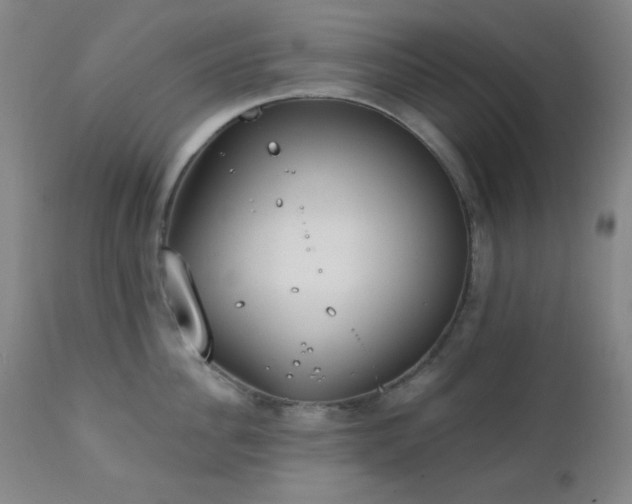 X0000111220956200907021331