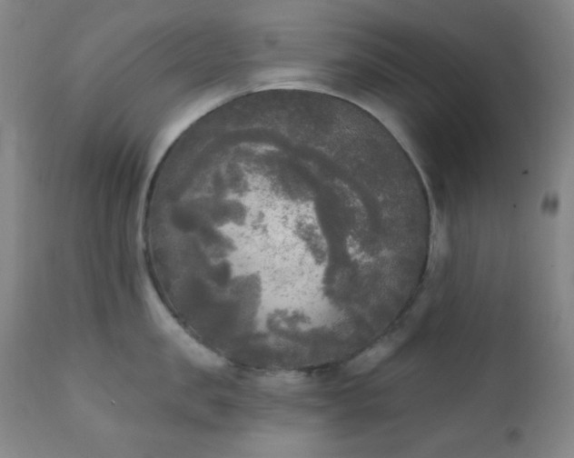 X0000111220957200907021331