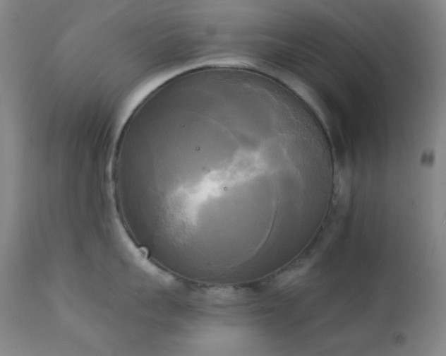 X0000111220959200907021331