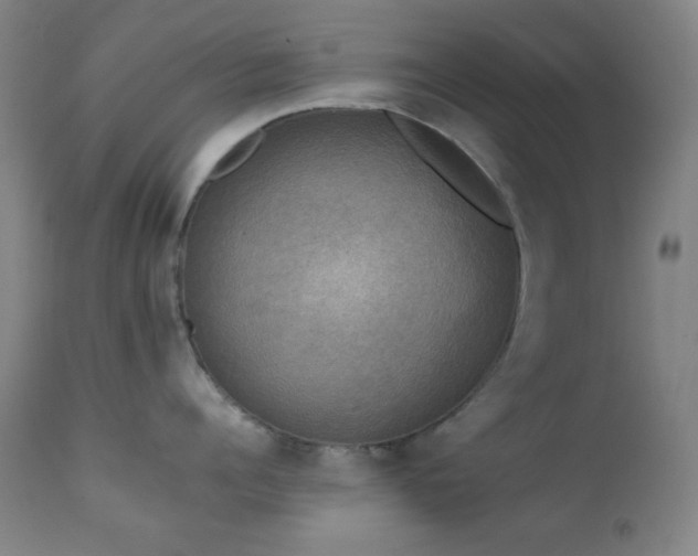 X0000111220960200907021332