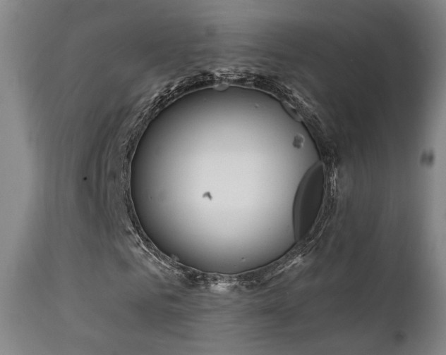 X0000111220961200907021331