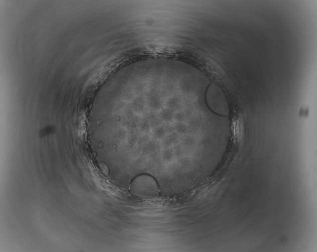 X0000111220963200907021331
