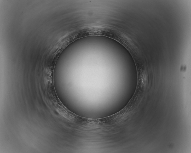 X0000111220964200907021331