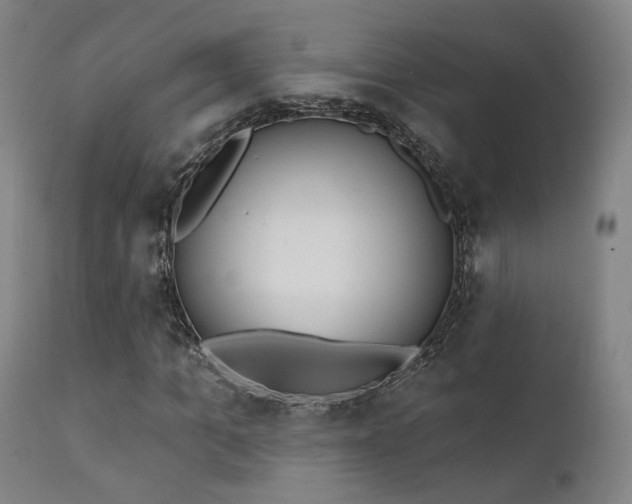 X0000111220965200907021331