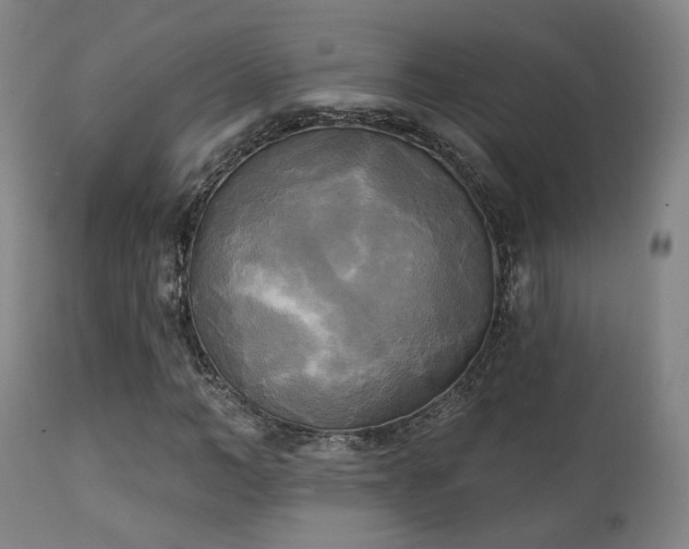 X0000111220966200907021331