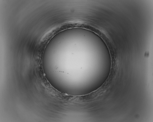 X0000111220967200907021331