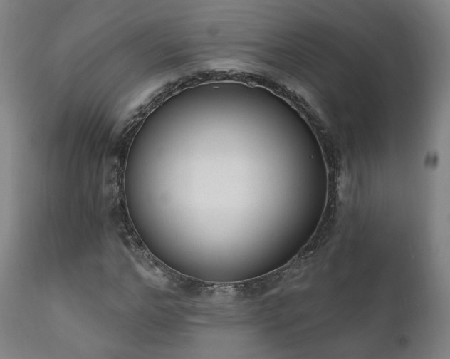 X0000111220968200907021331