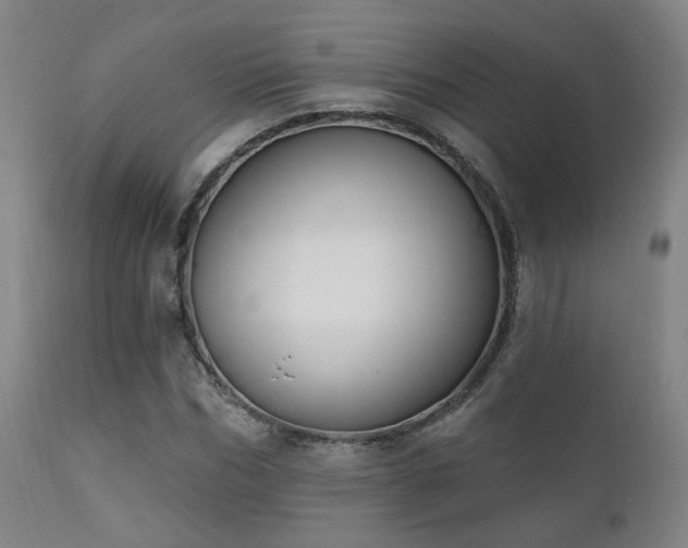 X0000111220970200907021331