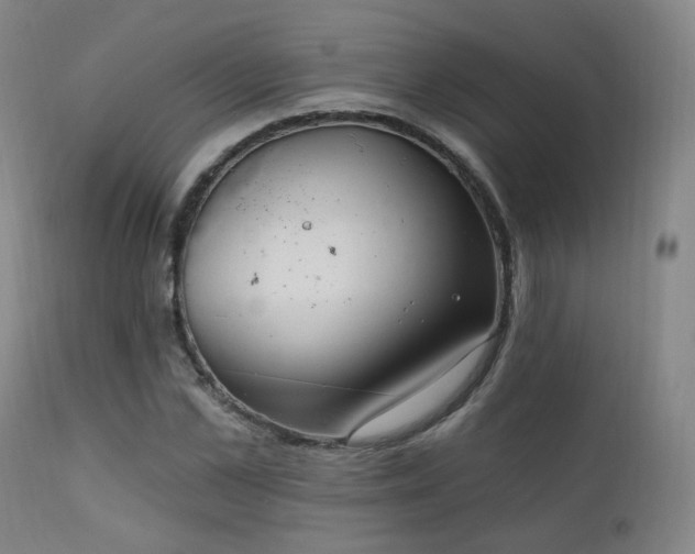 X0000111220973200907021331