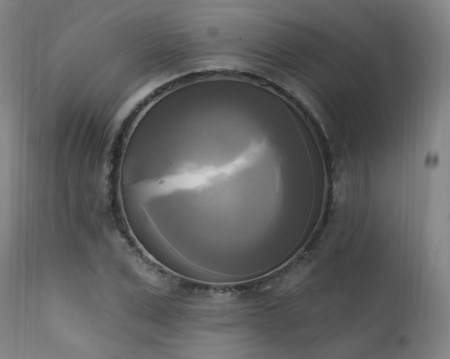 X0000111220975200907021331