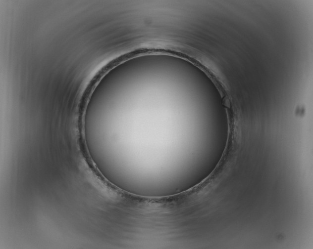 X0000111220976200907021331