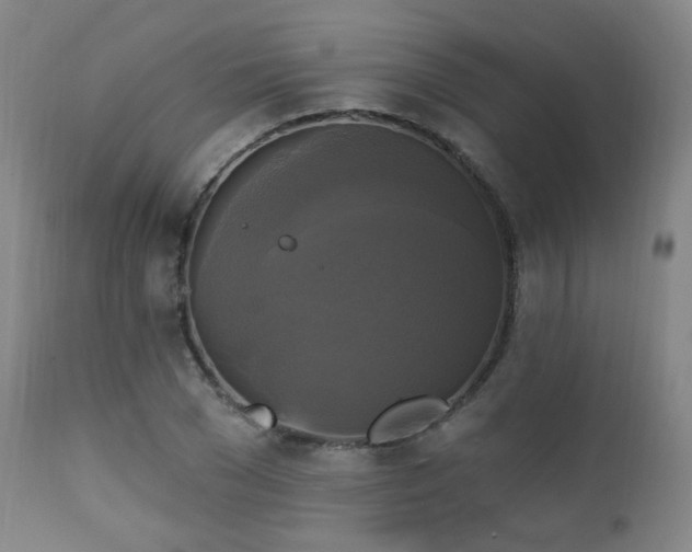 X0000111220977200907021331