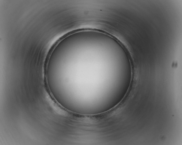 X0000111220980200907021331