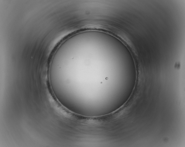 X0000111220984200907021331