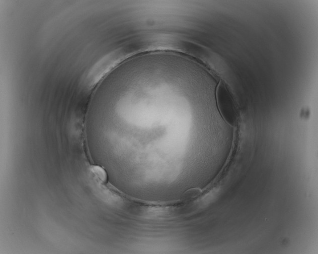 X0000111220985200907021331