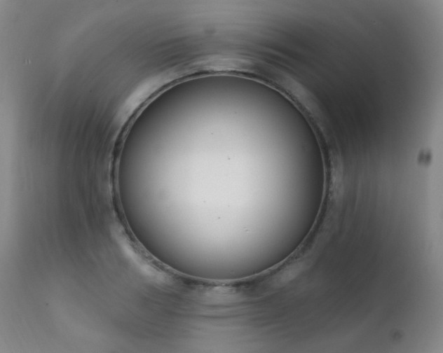 X0000111220986200907021331