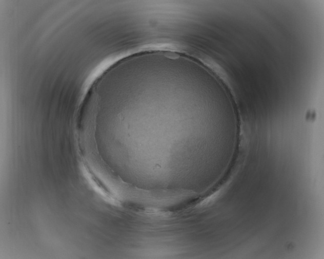 X0000111220989200907021330