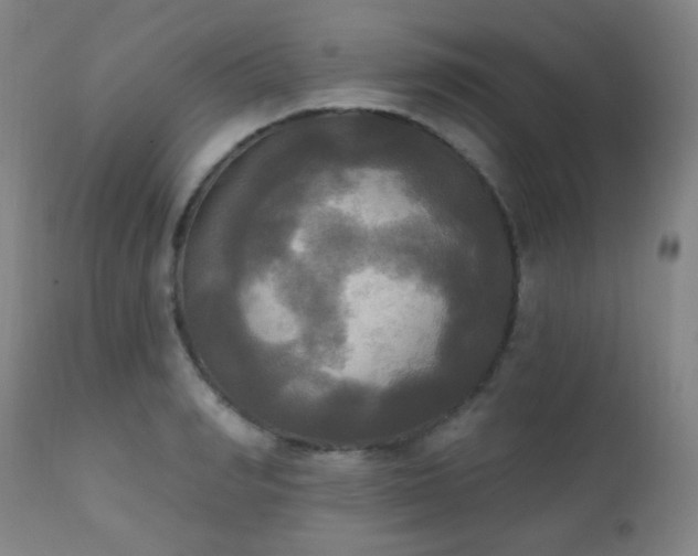X0000111220990200907021330