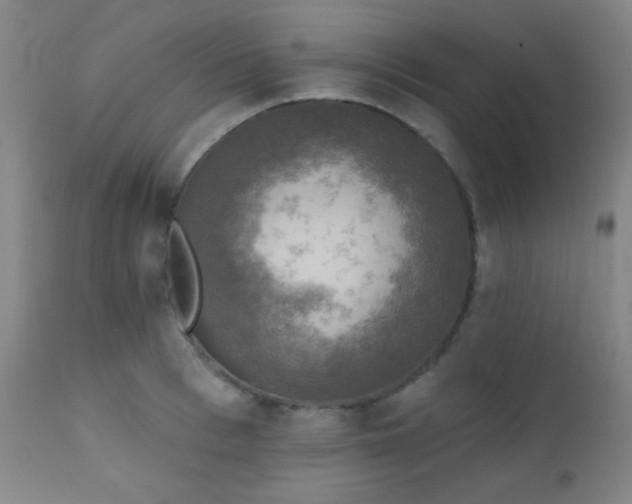 X0000111220993200907021330