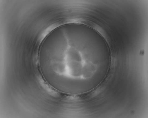 X0000111220994200907021330