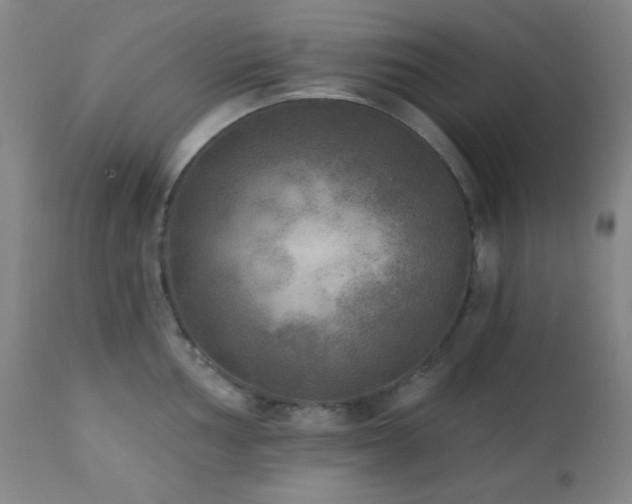 X0000111221002200907021330