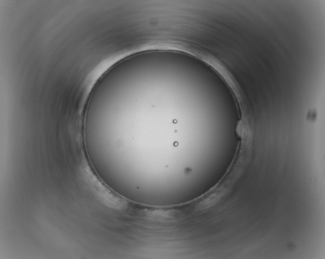 X0000111221004200907021330