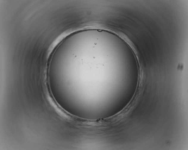 X0000111221005200907021330